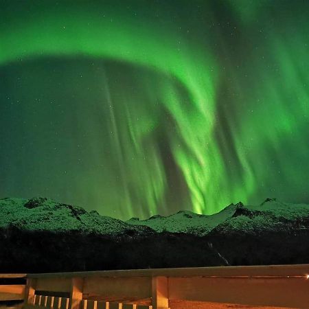 Unique And Charming House At The Foot Of Lofoten'S Highest Mountain Svolvær Exterior foto