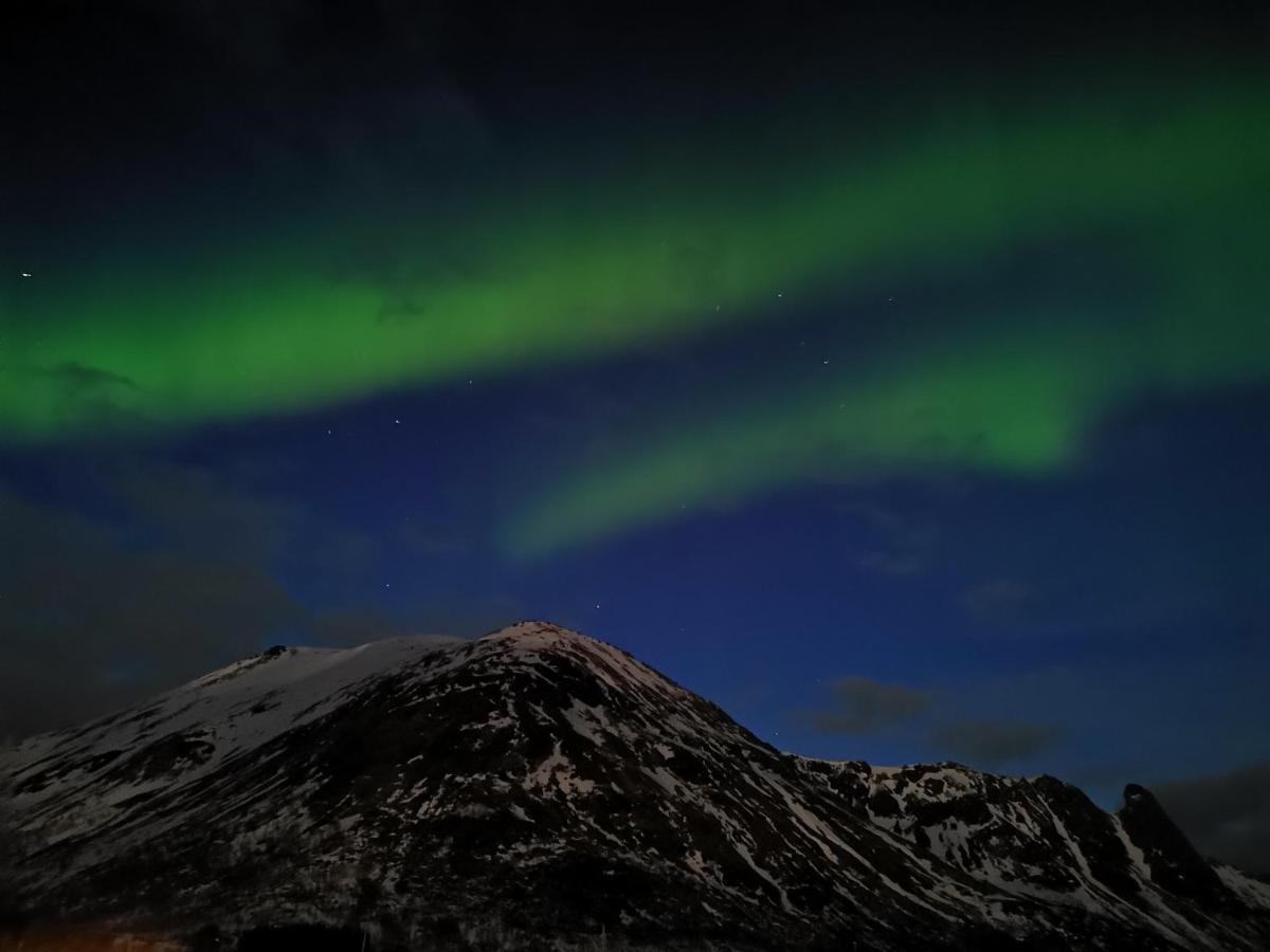 Unique And Charming House At The Foot Of Lofoten'S Highest Mountain Svolvær Exterior foto